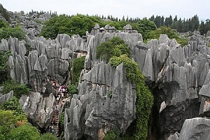 foresta di pietra Cina